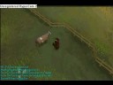 Cow Owning!