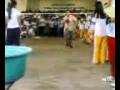 1st Relay Race.mp4