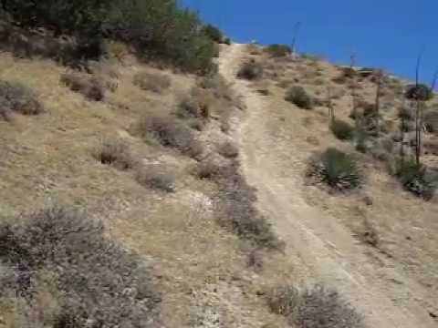gorman - HIt this hill twice in a row. Found this newly treaded trail off