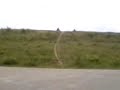 Yamaha SR 125 drift and crash