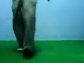 shuffle beginer~ give me sum guide to improve~ shuffle beginer~ give me sum guide to improve~