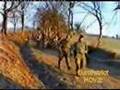 ARBIH 505. - Tekbir!!! 2 (druga muzika)
