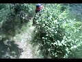 Kautenbach Singletrail