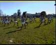 Haraki Plains Haka V Bablake