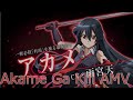 AMV (Saison 1)