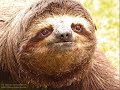 15-reasons-to-quit-eating-meat-be-a-vegetarian-must-see-.html