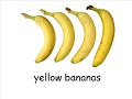 The Color Yellow The Color Yellow