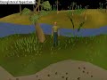Runescape: A bad dream