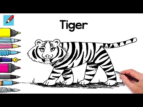 How to Draw a Tiger Real Easy