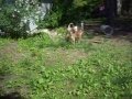 Molly and Abby!=)