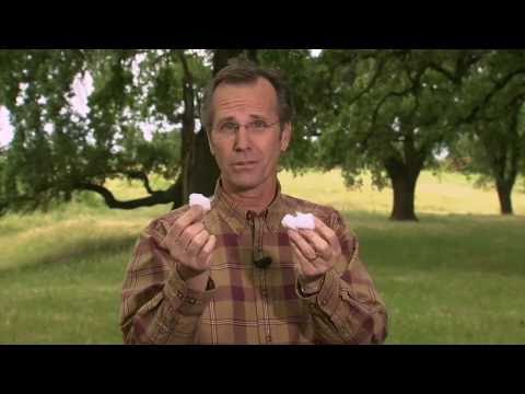 how to harvest knowledge