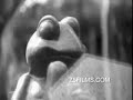 Bolex H16 Test Footage Bolex H16 Test Footage
