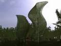 Algae Photo Bioreactor Sculpture