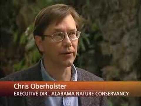 Alabama Wildlife Heritage License - ...