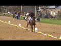 concours dressage club 1 grand prix concours dressage club 1 grand prix