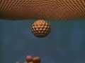 Endocytosis