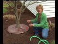 Tree Gator Drip Irrigation Bags Tree Gator Drip Irrigation Bags