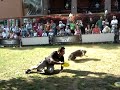 Andr� Barreto e Bisteca - Disco Canino Freestyle
