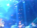 Trans-Siberian Orchestra 11/18/09