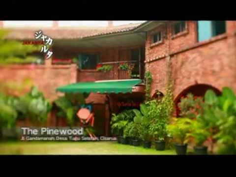 hotel di puncak - Hotel pinewood puncak, BOGOR - INDONESIA.