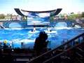 Worlds Of Discovery Dubai Announcement Finale