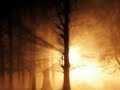 Hallelujah - Leonard Cohen Cover Song