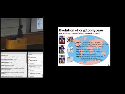 Dr. Greg Scholes - "Lessons from nature about solar light harvesting: A little bit of coherence?"