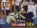 Monkey, Dog and Children doing situps