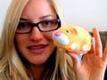 zhu zhu pets gone wild!