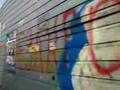 Kyiv City Elections 2008 (Video 56)