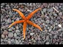 Photos from Gulf of California Yacht Cruise - amsafari.com