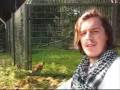 Botshing TV - Episode 57 - Wildpark Schwarze Berge Special (