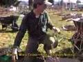 Gardening In February