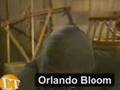 Johnny Depp and Orlando Bloom interview
