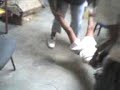 marrito torturado (2da parte) marrito torturado (2da parte)