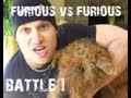 Man vs Dog: Dog Food Eating Contest - animals, contest, dog, dog food, eating, furious pete, gross, pets, wtf, funny