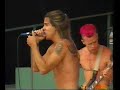 Red Hot Chili Peppers Castles Made of Sand