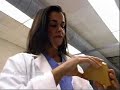 Dental Laboratory Technicians Job Description