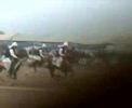 Tent Pegging