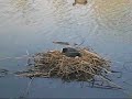 Une journ�e de printemps au Breuil