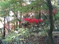 高幡不動紅葉091128