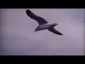 Epic 45 - We Were Never Here