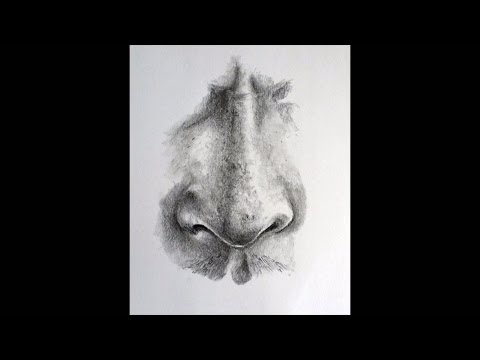 how to draw a 3d nose