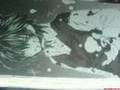 AWESOME MIXED ANIME/MANGA!!!! DIRTY LITTLE SECRETS!!!