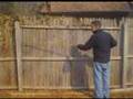 This old yard
