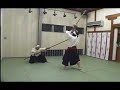Kukishin ryu Yari Kukishin ryu Yari