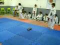 exame tkd  miguel 7