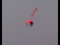 red kite