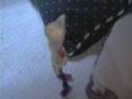 videos de mexican marionette 01