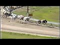 Dicey Secret - Race 3 No.4 (Blue) Dicey Secret - Race 3 No.4 (Blue)